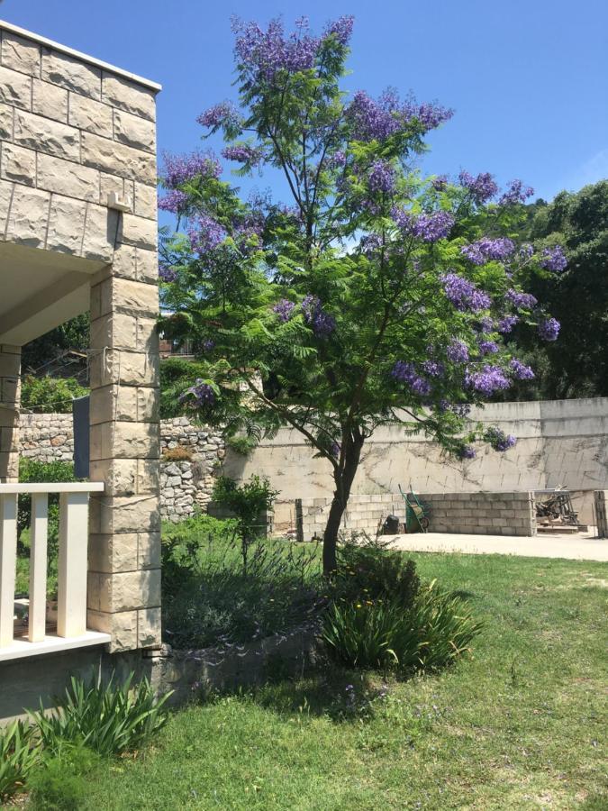 Apartmani Domenika Zuljana Bagian luar foto